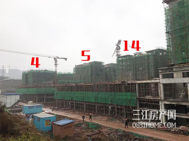 未标题-2.jpg