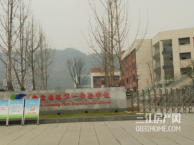 27110949.jpg
