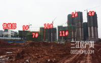 远达·鹭湖宫12月施工进度 最高修至29层左右