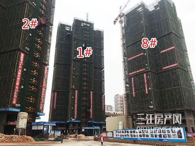 从左至右：2#、1#、8#.jpg