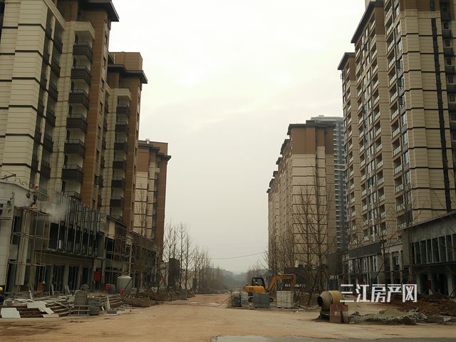 IMG20190125154958.jpg