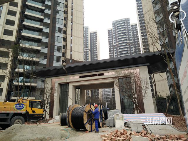 IMG20190125155513.jpg
