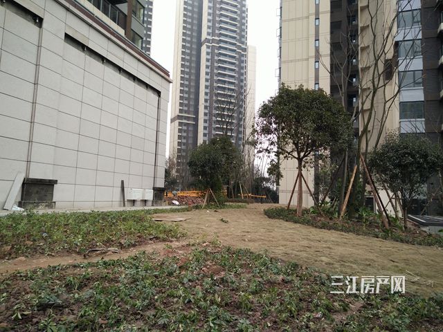 IMG20190125155309.jpg