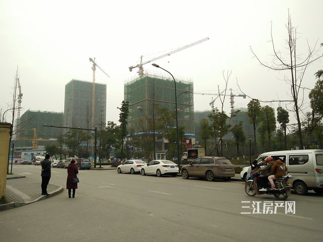 siqi.jpg