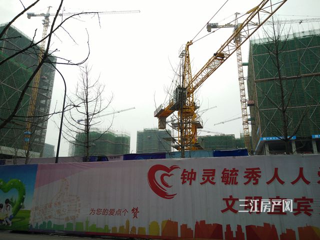 IMG20190125153506.jpg