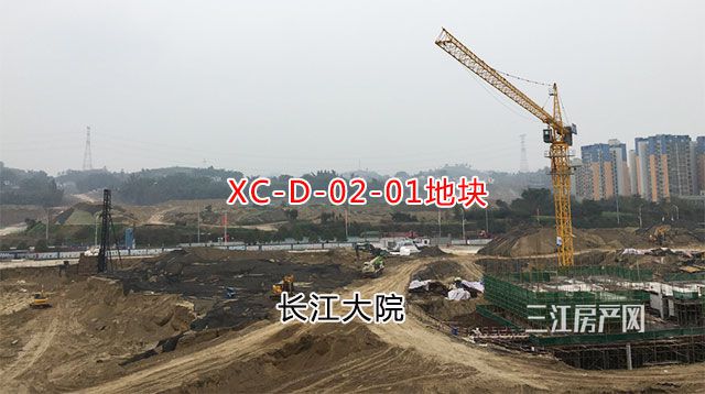 01.jpg