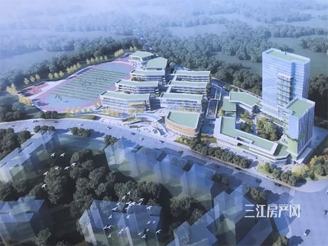 未标题-1.jpg