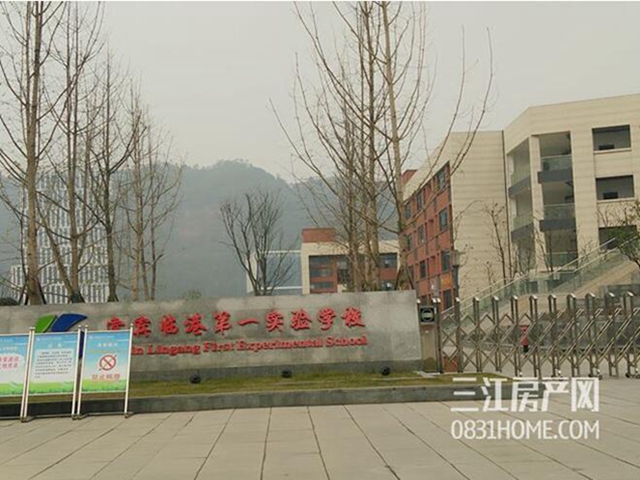 TIM截图20190306101511.jpg
