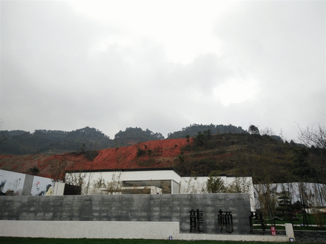 IMG20190301164823_副本.gif