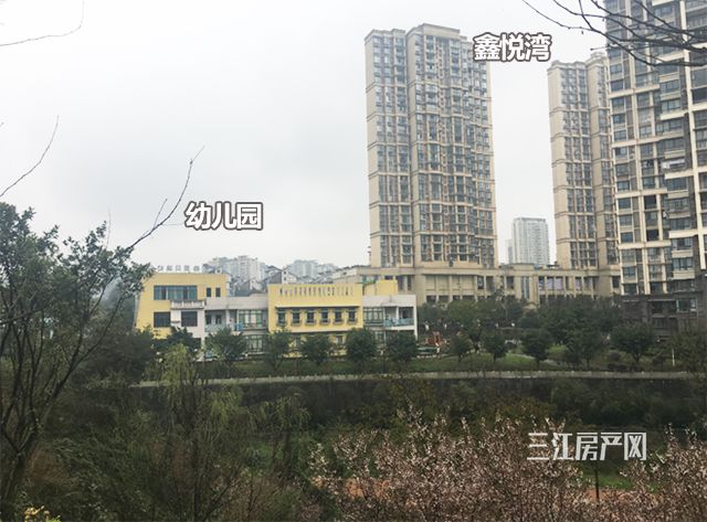 未标题-6.jpg