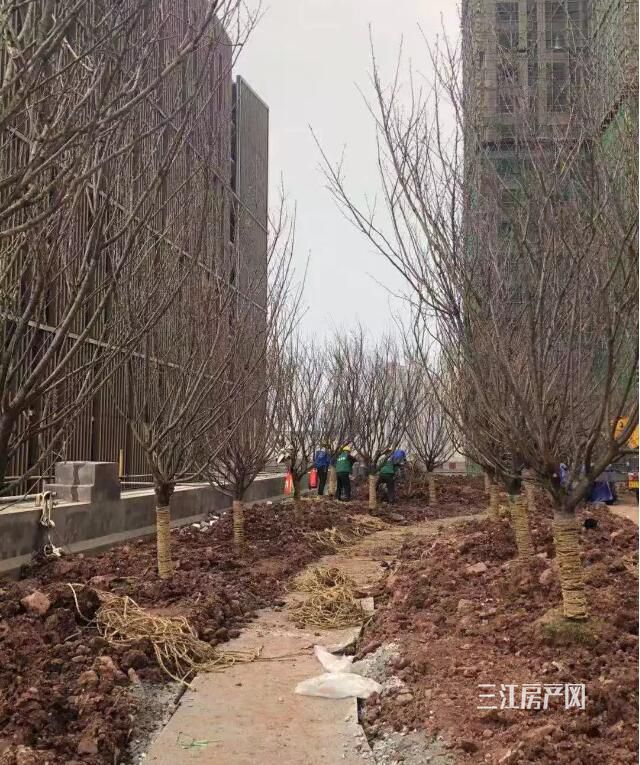 QQ截图20190326102032.jpg