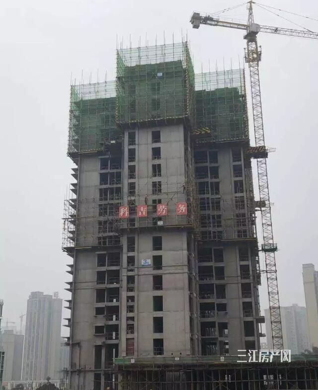 QQ截图20190326102309.jpg
