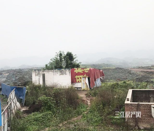 未标题-4.jpg