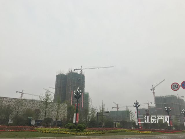 南1.jpg