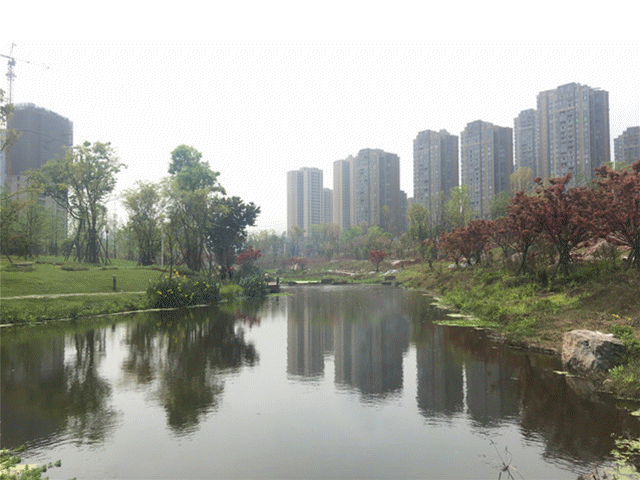 白沙湖闪图.gif
