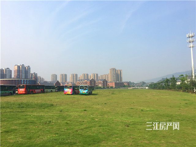 空地停车1.jpg