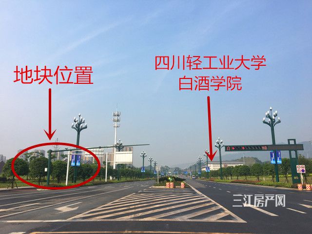 大道_副本.jpg