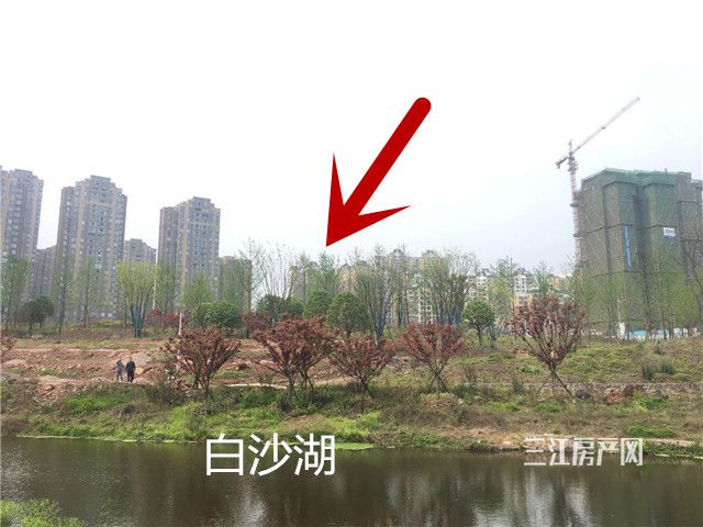 紧靠白沙湖公园.jpg