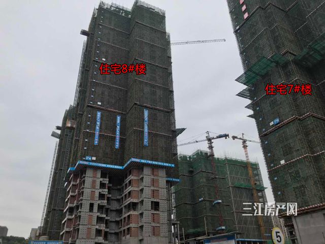 微信图片_201905091539243.jpg