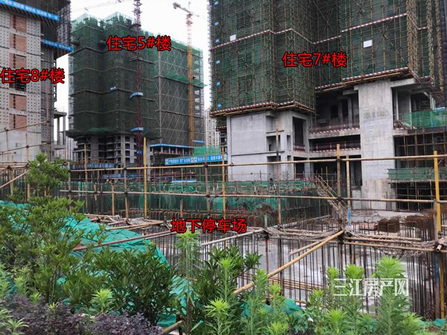 微信图片_201905091539244.jpg