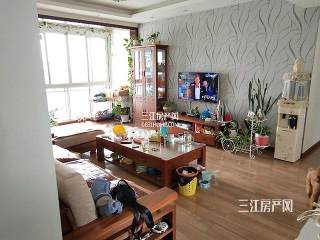 031918024bcd18afc77827.jpg