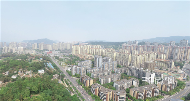 临港.png