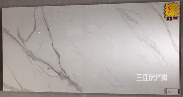 SF-RQ189001_副本_副本.jpg