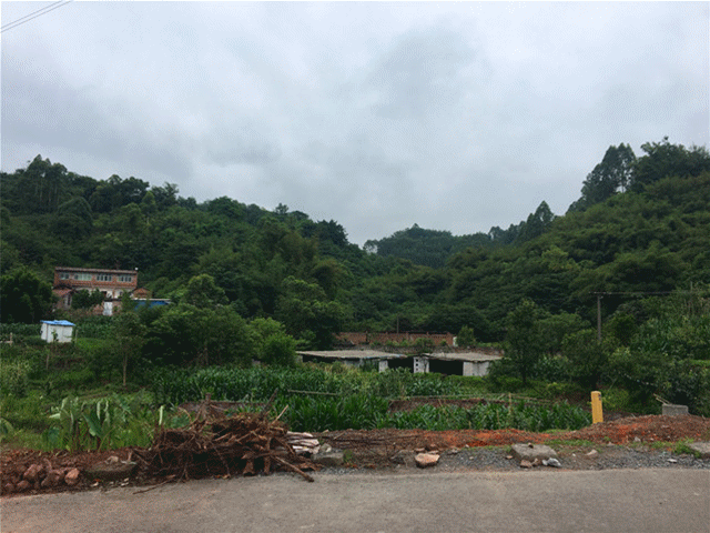 断头路.gif