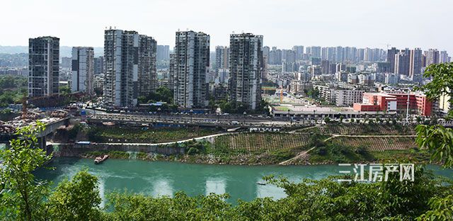 DSC_6503.jpg