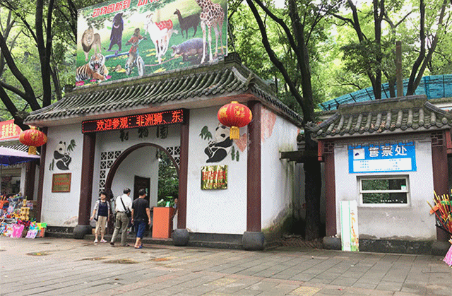 IMG_1071_副本.gif