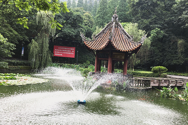 IMG_1088_副本.gif