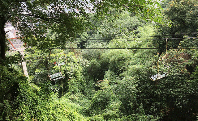 IMG_1111_副本.gif