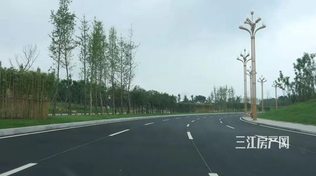 微信图片_20190701151221.jpg