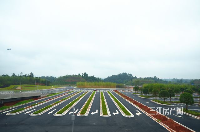 DSC_0483_爱奇艺.jpg