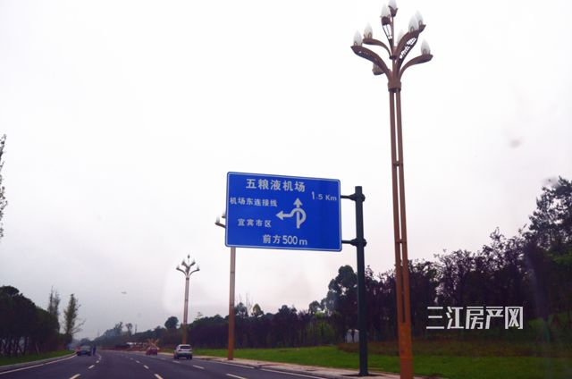DSC_0374_爱奇艺.jpg