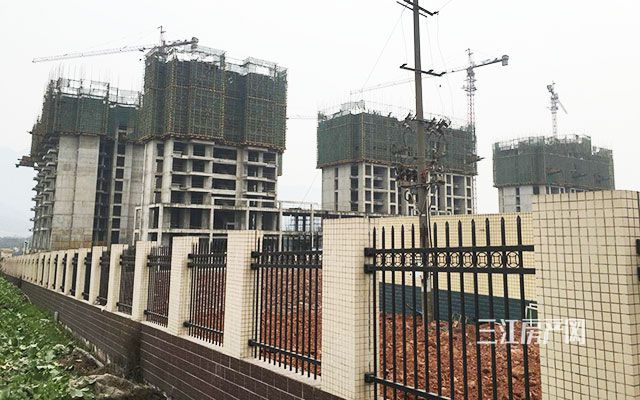 QQ图片20190126143852.jpg