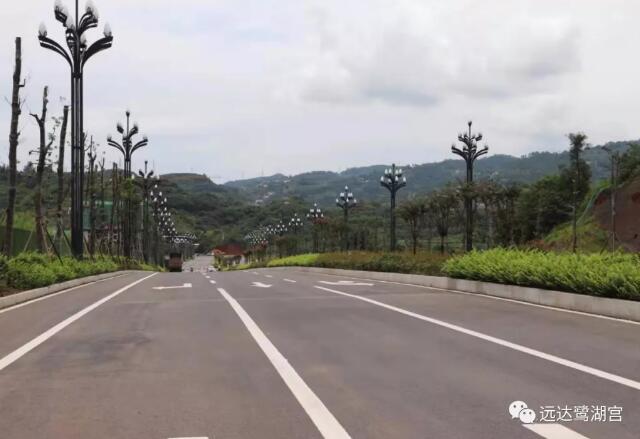 QQ截图20190725100334.jpg
