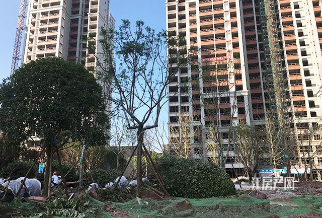 QQ图片20190729091509.jpg