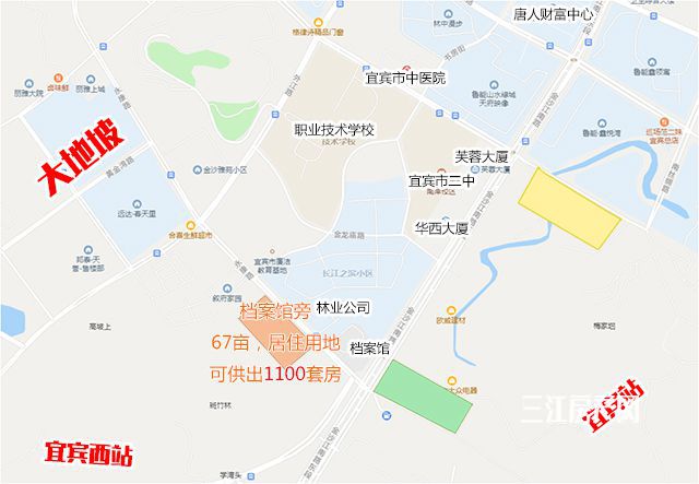 丽雅.jpg