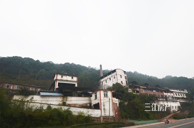 未标题-4.jpg