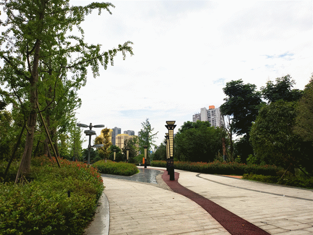 街景闪图.gif