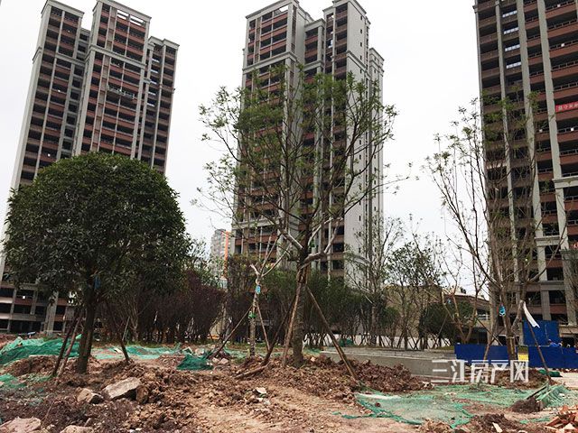 QQ图片20190828142023.jpg