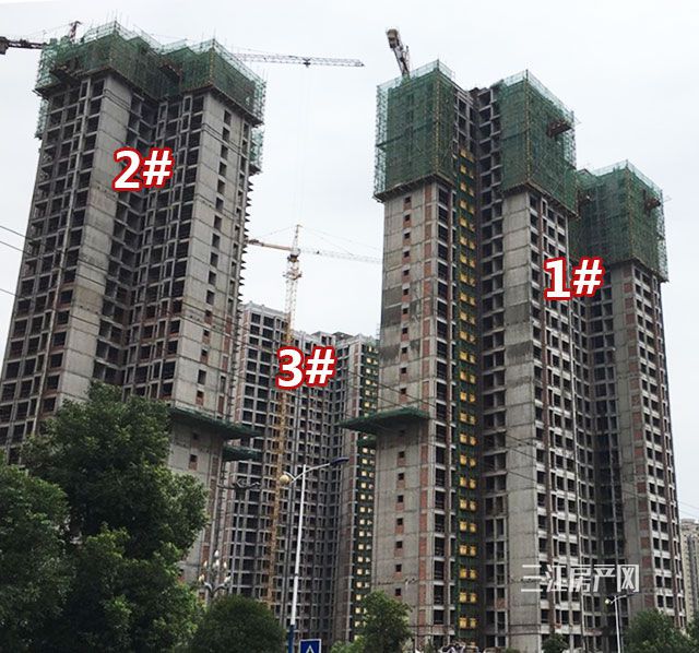 未标题-1.jpg