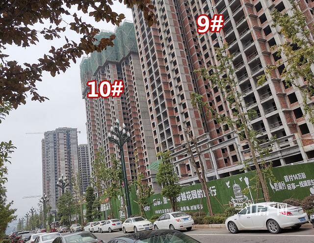 QQ截图20190828160442.jpg