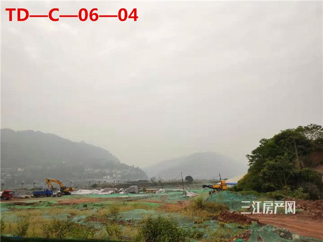 TD—C—06—04.jpg