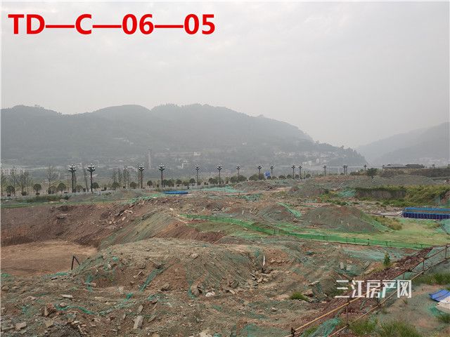 TD—C—06—05.jpg