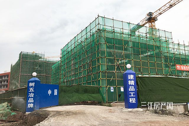 QQ图片20190828142147.jpg