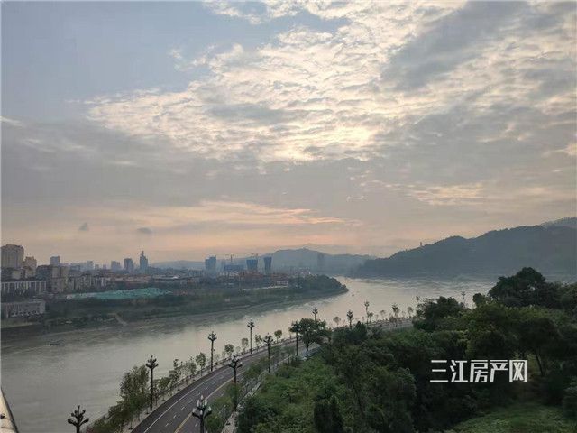 桥上摄.jpg