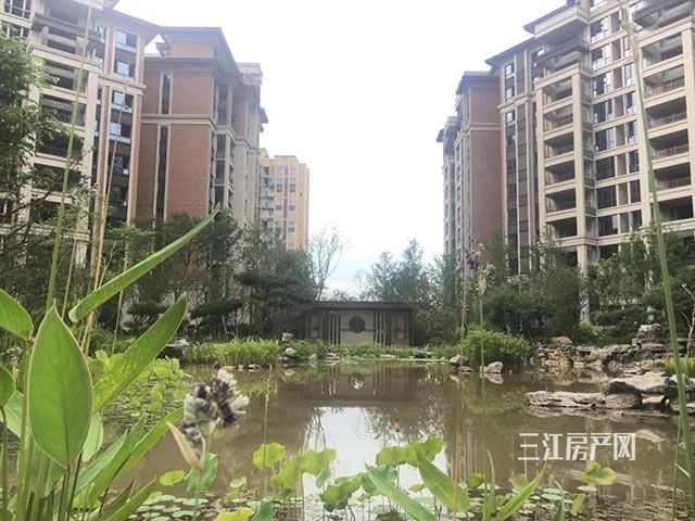 中庭湖景实景图.jpg