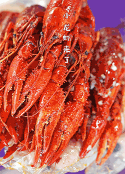 微信图片_20190923144730.gif
